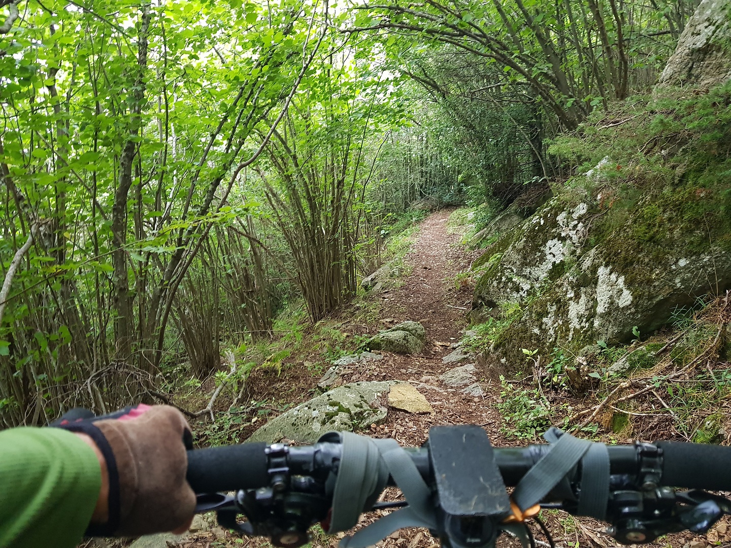 batera-trail2.jpg