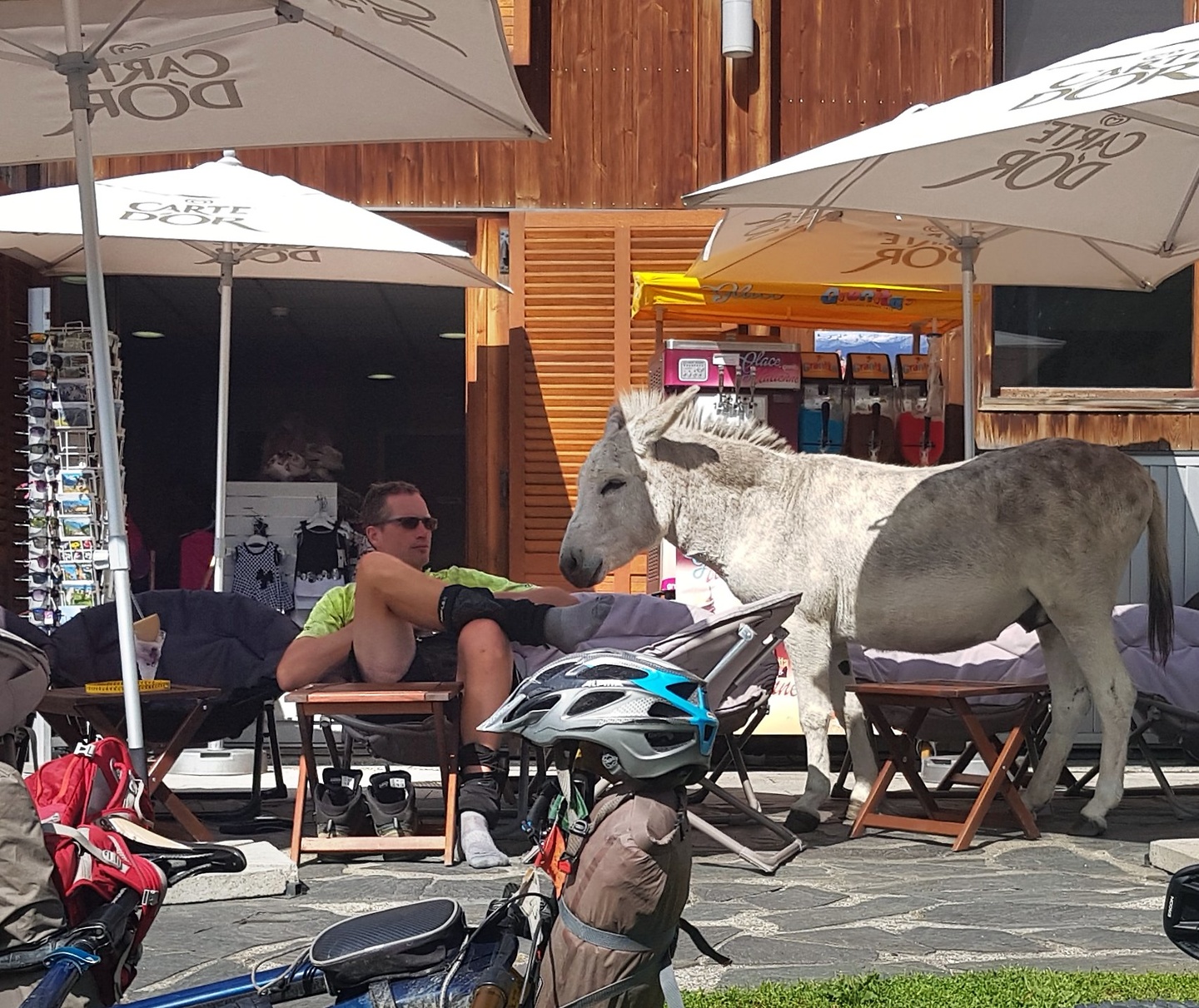 benasque-donkey1.jpg