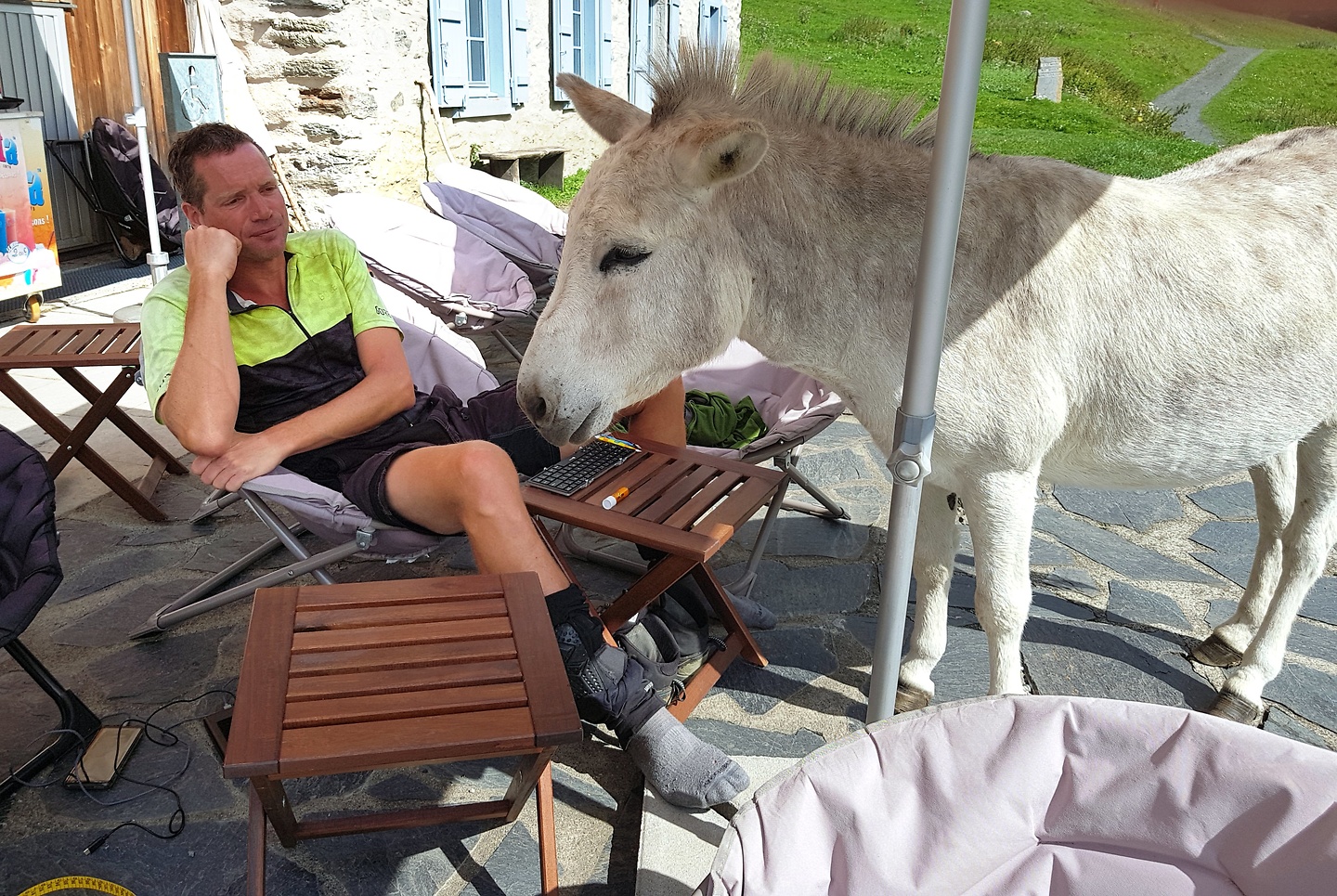 benasque-donkey2.jpg