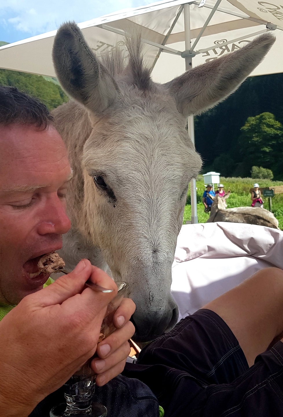 benasque-donkey3.jpg