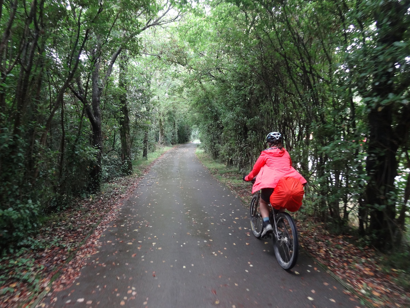 bera-cyclepath.jpg