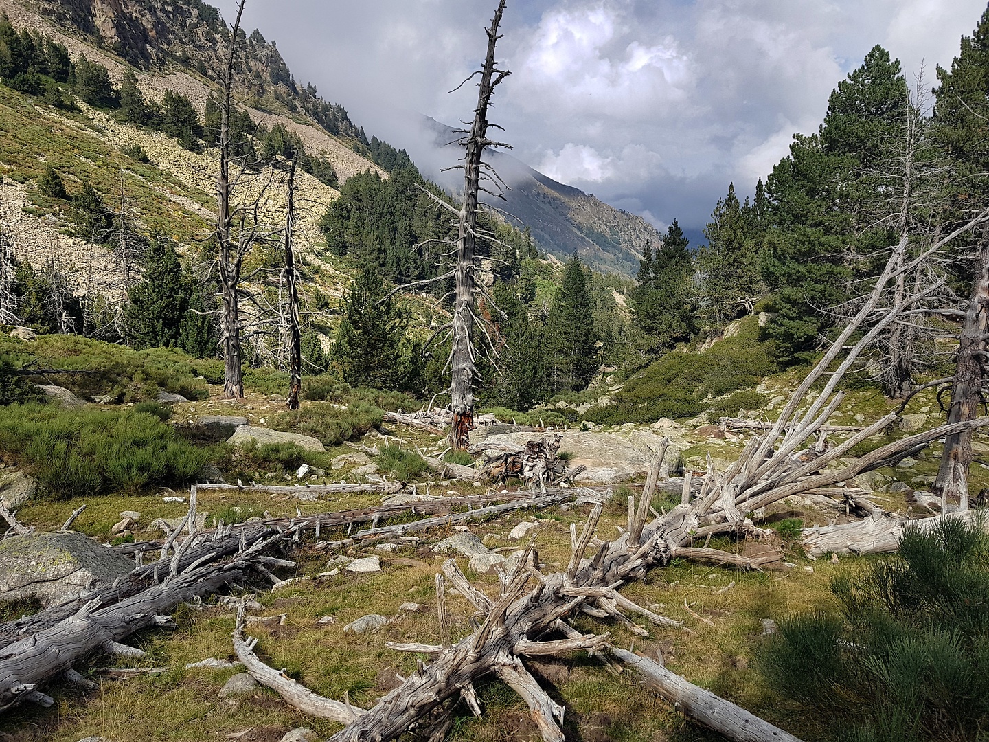 caranca-trail14.jpg