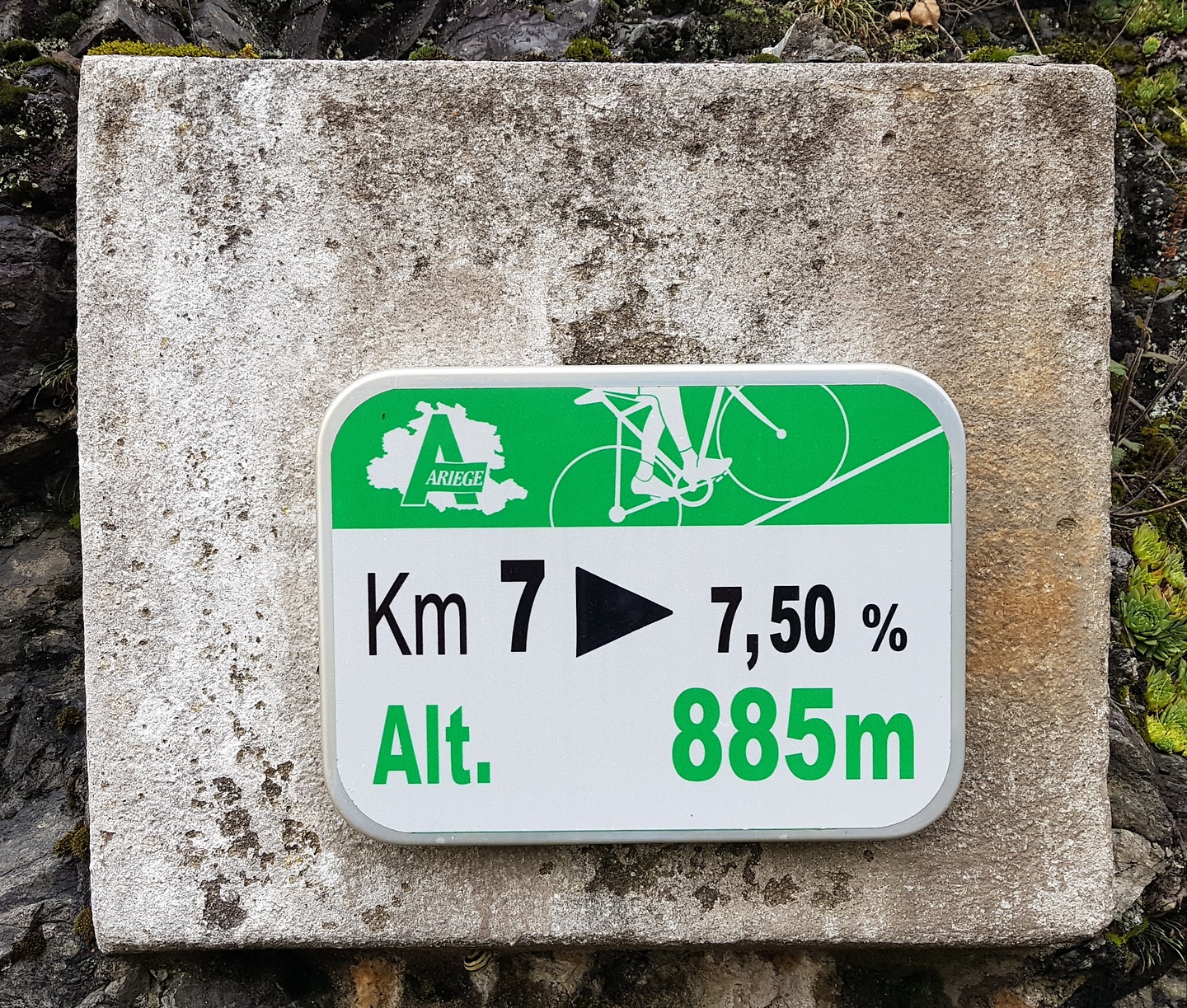 core-uphill2.jpg