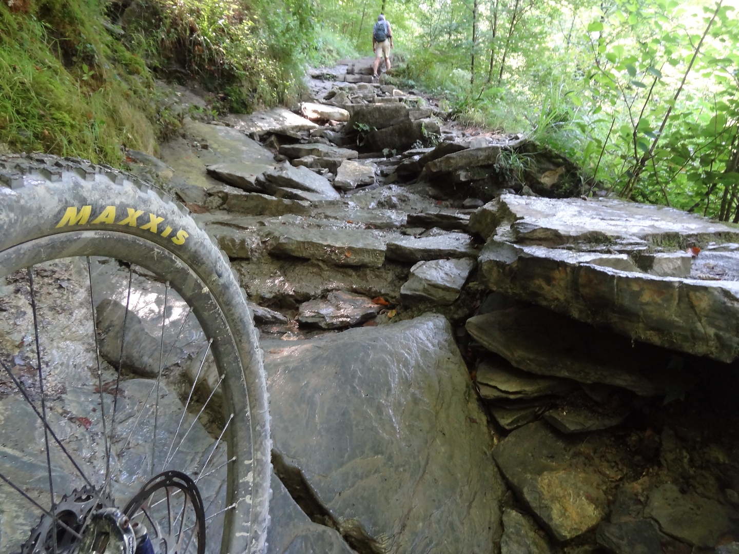 holtzarte-trail6.jpg