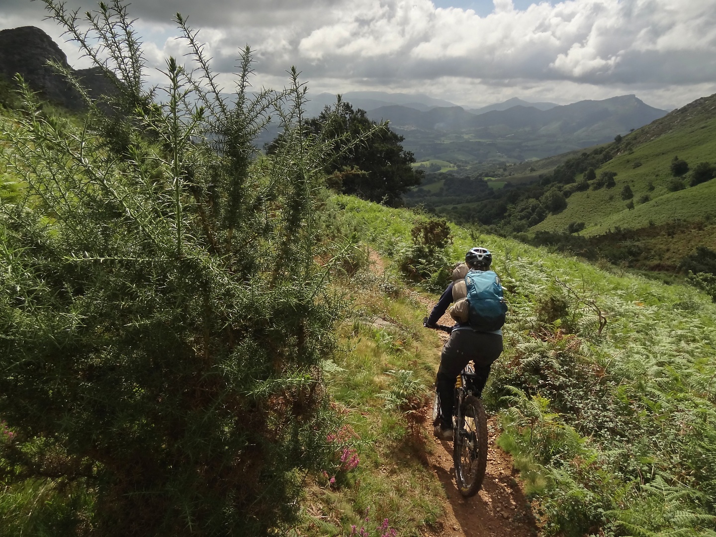 larrun-trail7.jpg