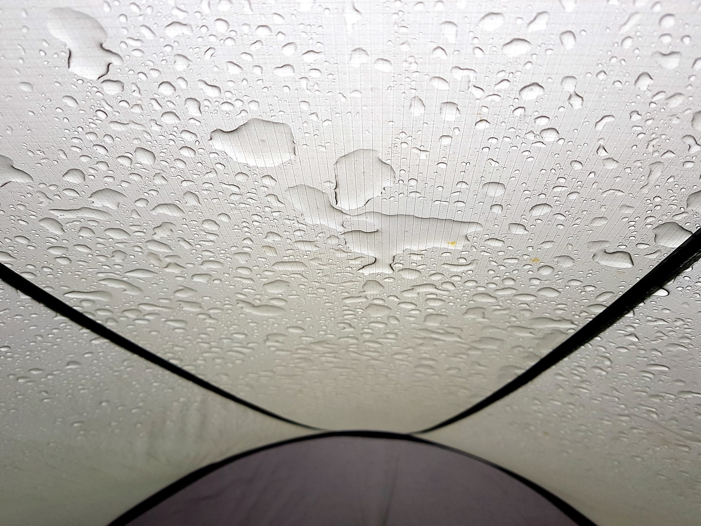 liat-rainytent.jpg
