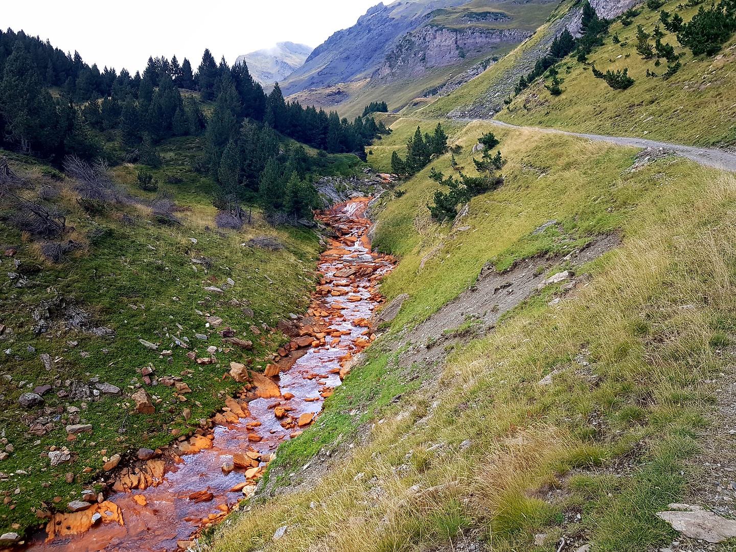 liat-uphill6.jpg