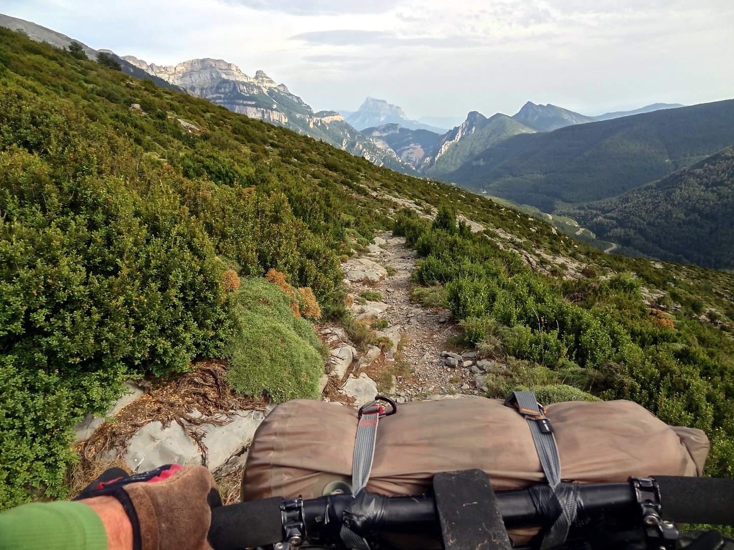 nerin-trail3.jpg