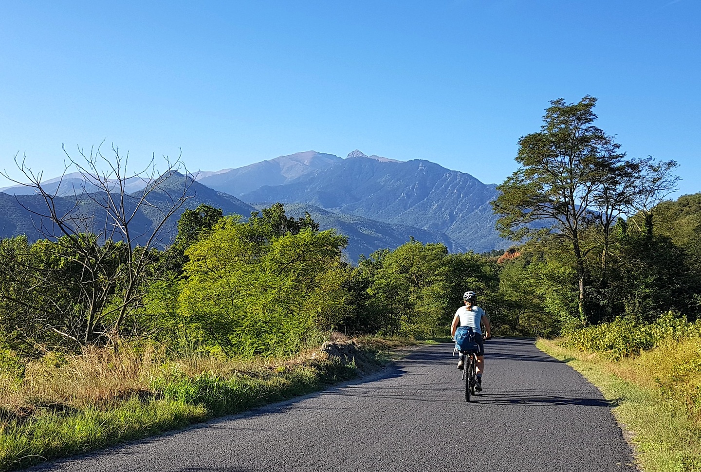 palomere-uphill1.jpg