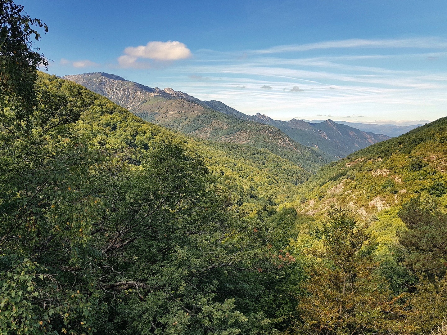 palomere-valley.jpg
