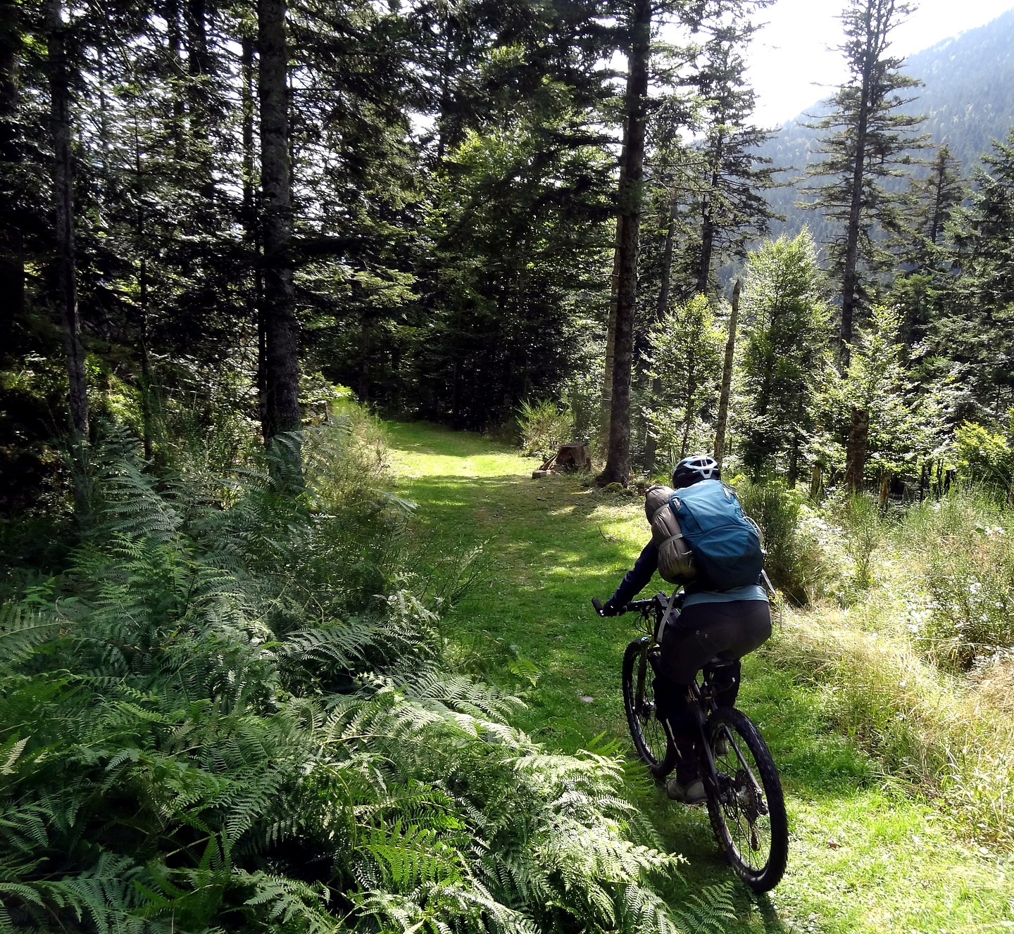portillon-trail1.jpg
