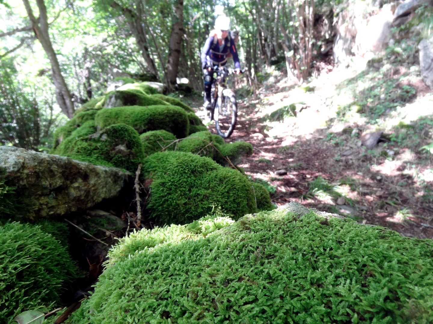 portillon-trail4.jpg
