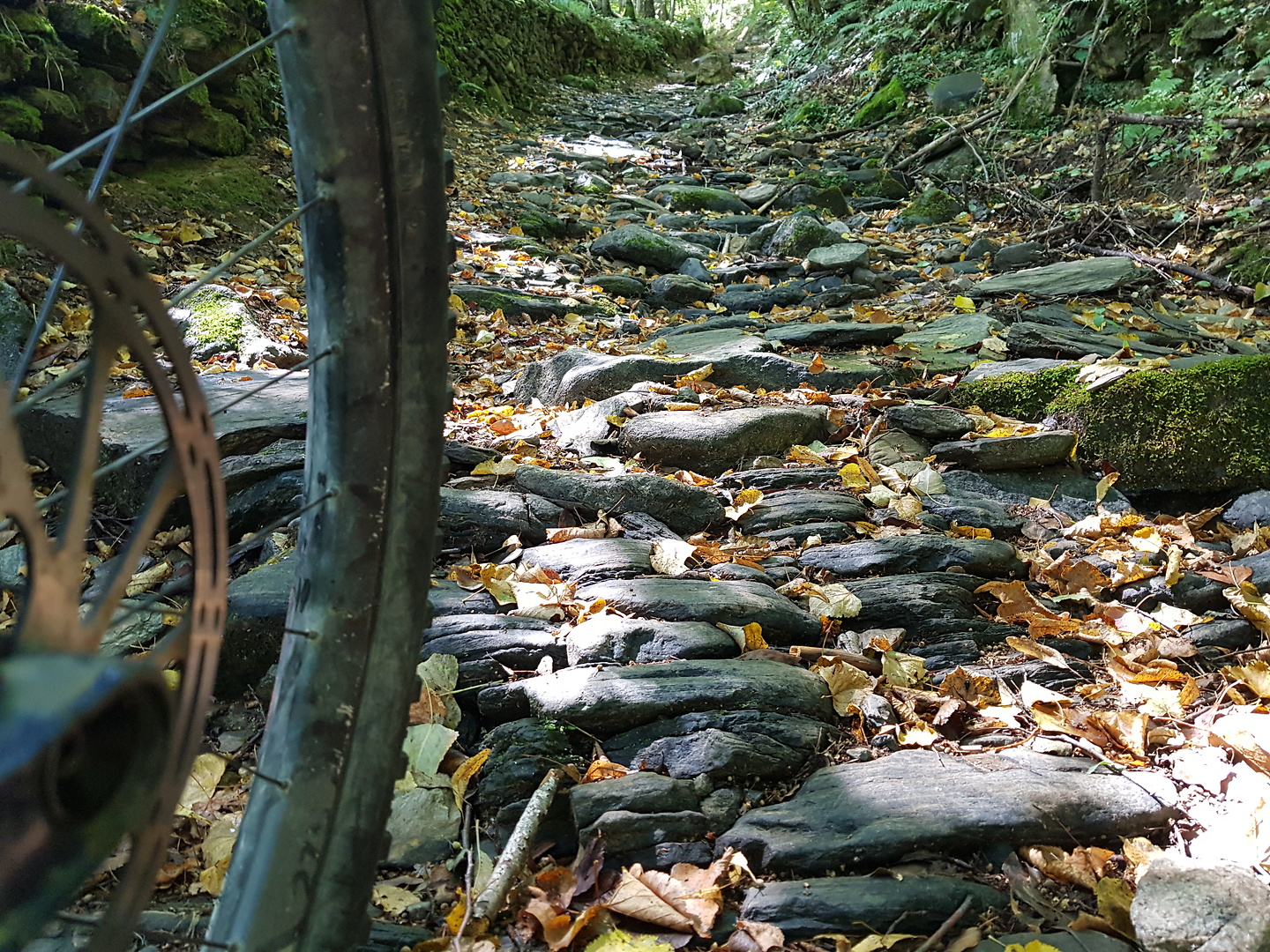 portillon-trail5.jpg