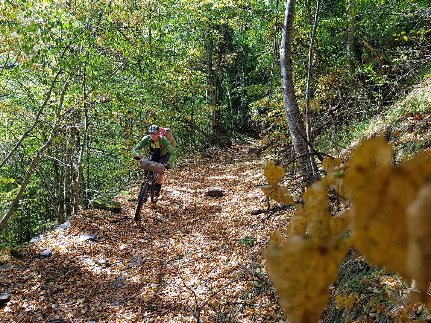 portillon-trail6.jpg
