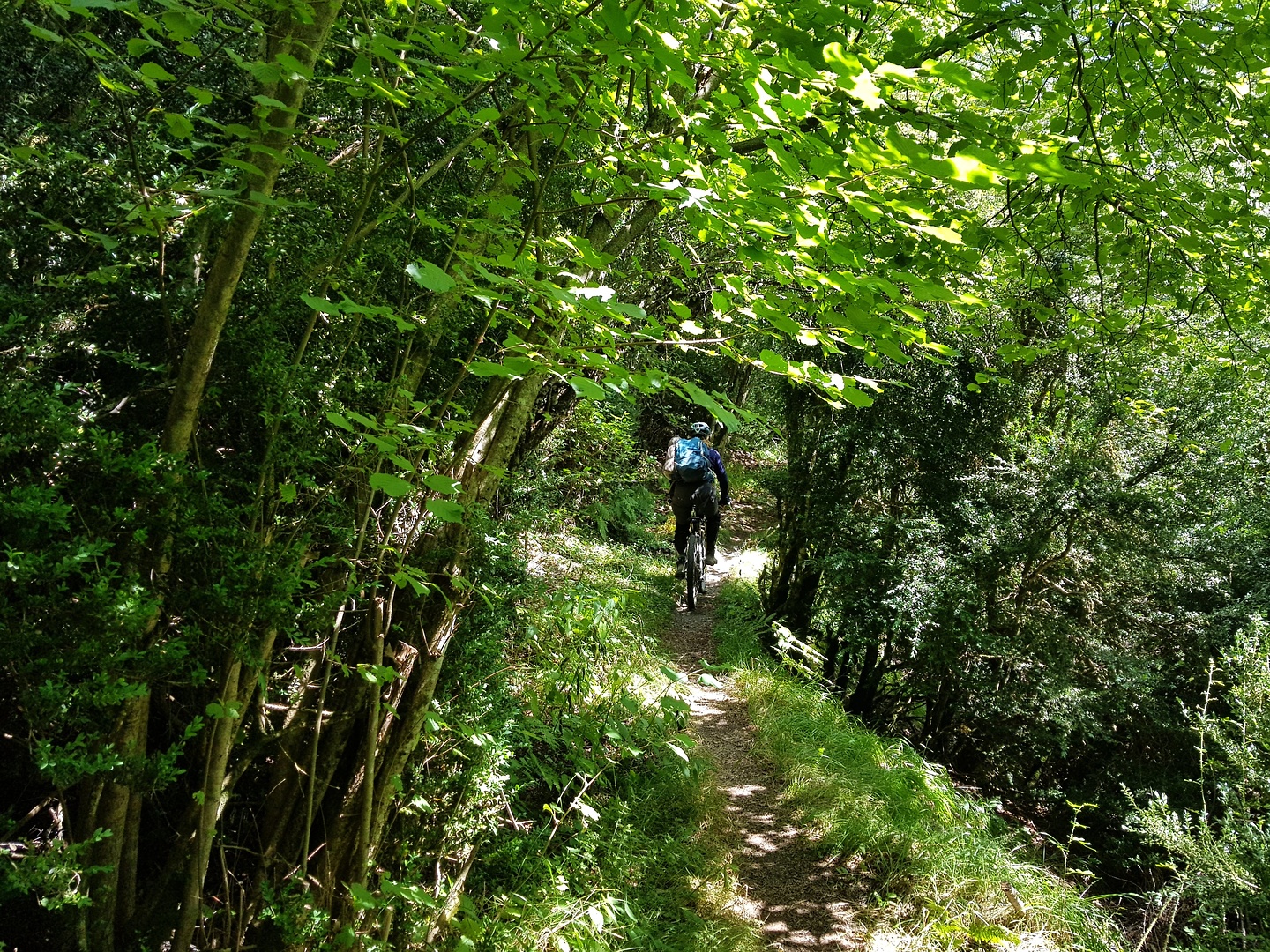 sahun-trail4.jpg