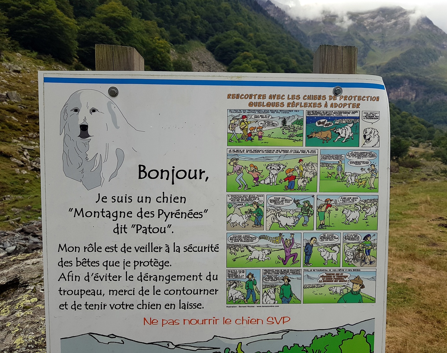 urets-dog3.jpg