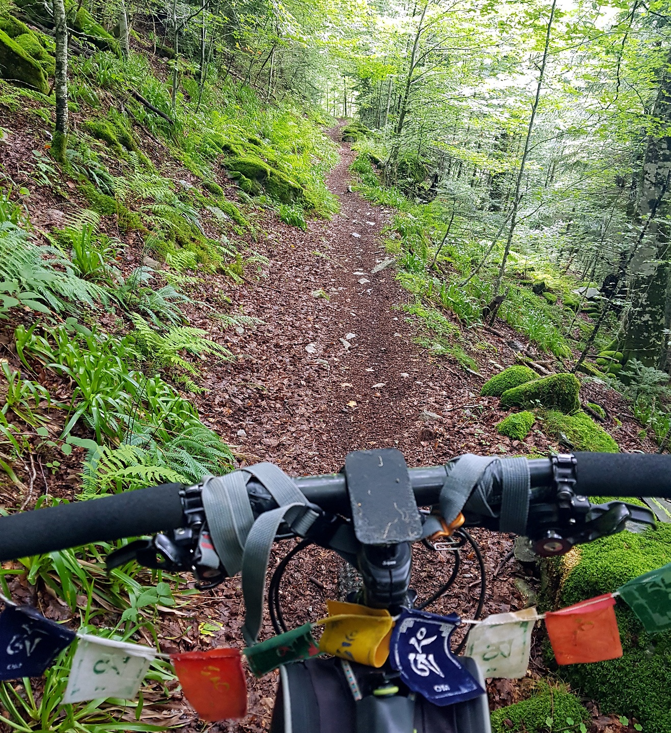 urets-trail11.jpg