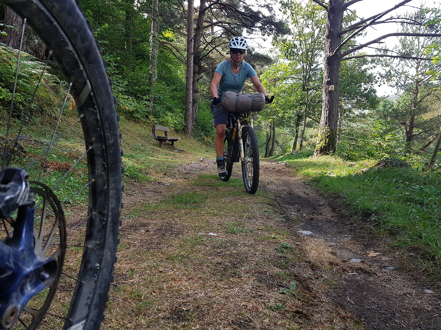 vielha-cyclepath.jpg