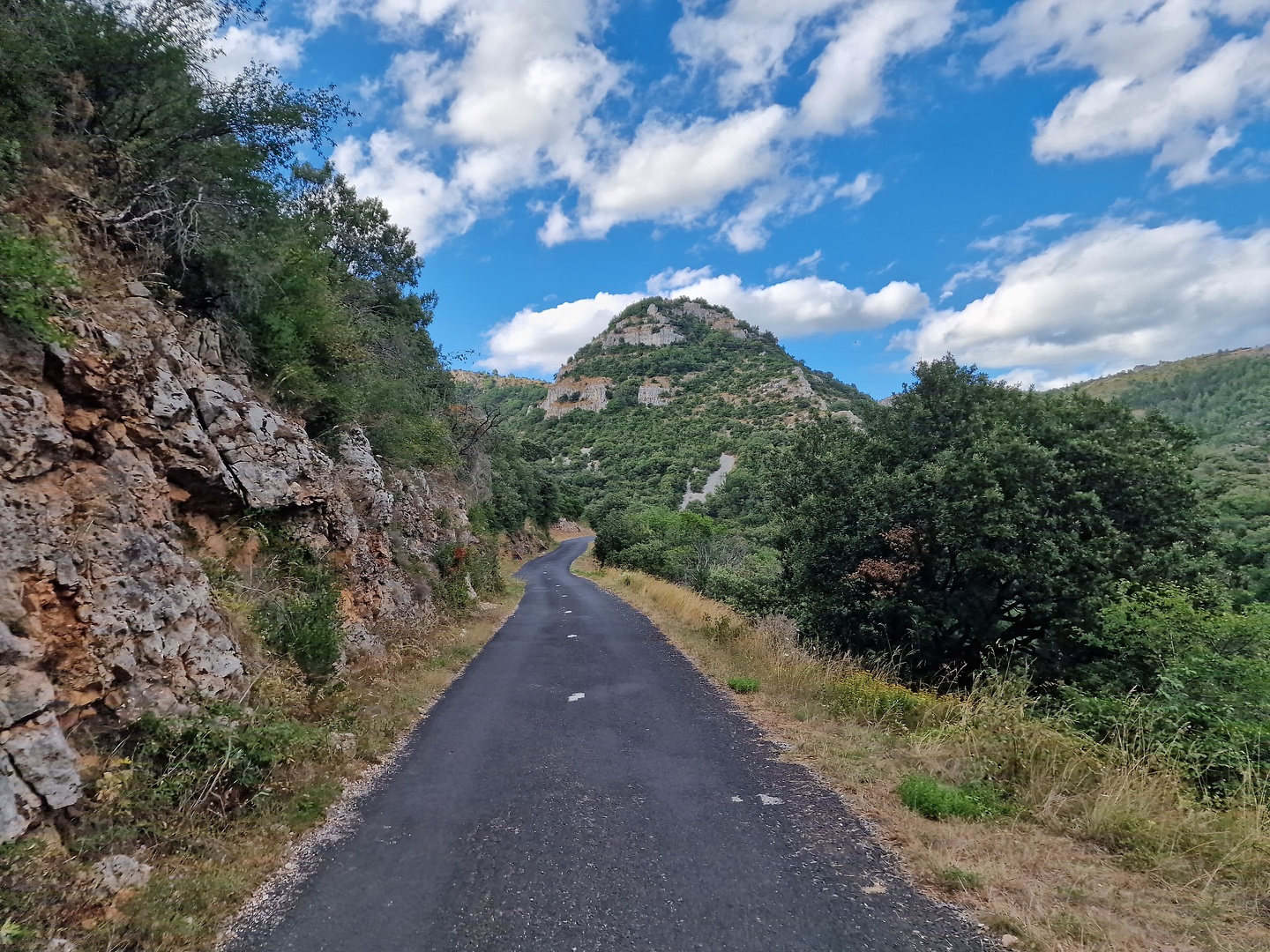 alzon-road1.jpg