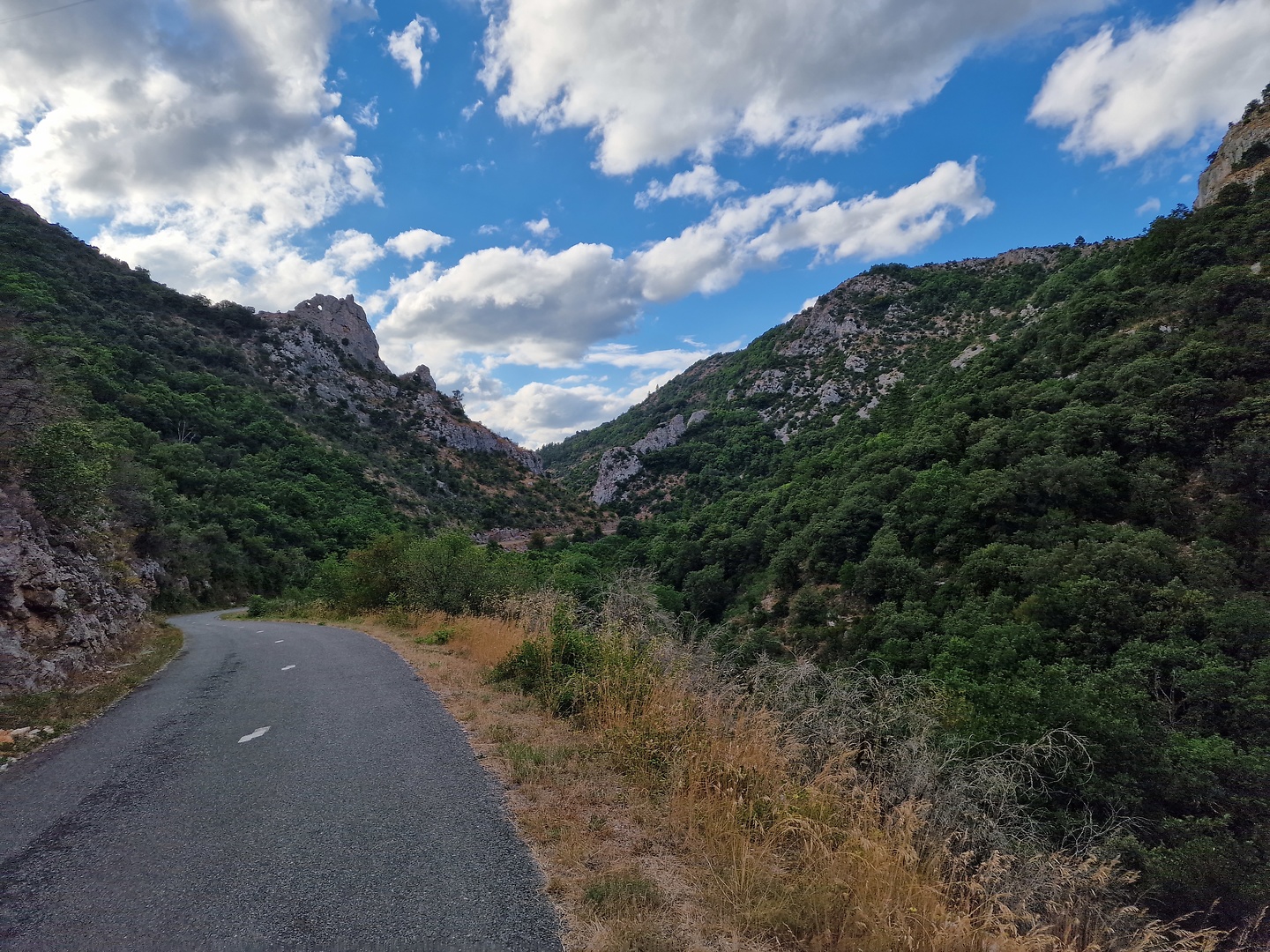 alzon-road2.jpg