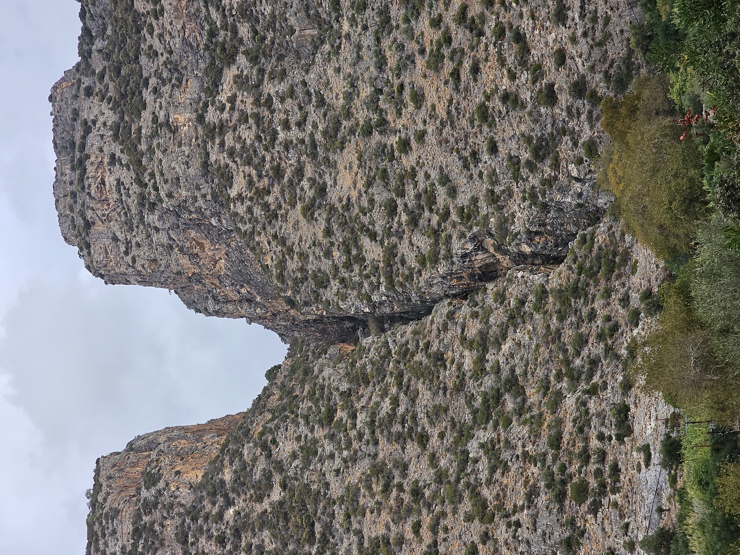 arvi-canyon1.jpg
