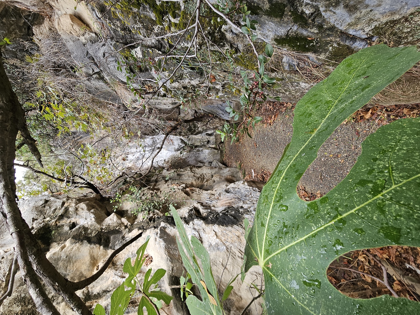 arvi-canyon2.jpg
