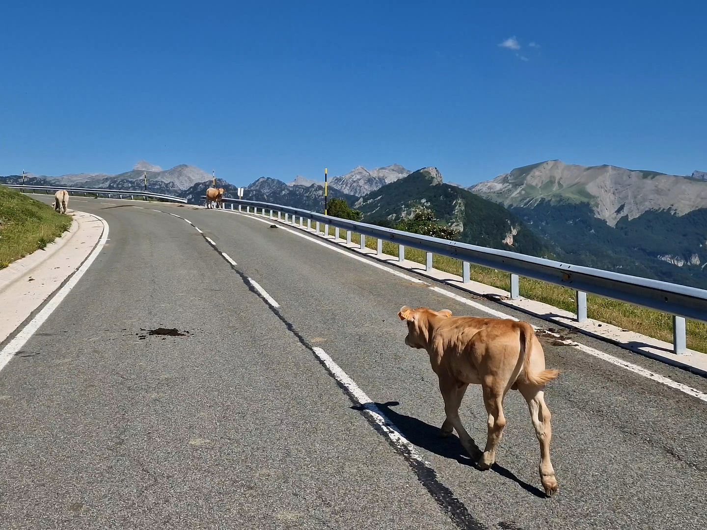 belagua-road2.jpg