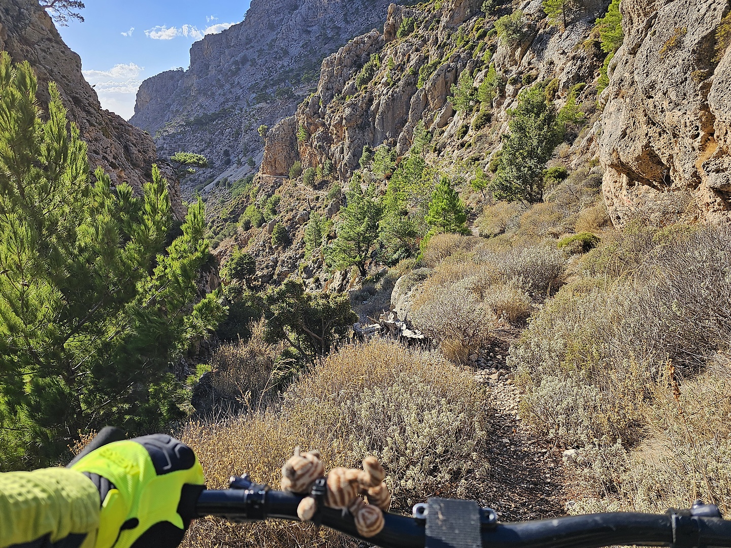 butterfly-trail1.jpg
