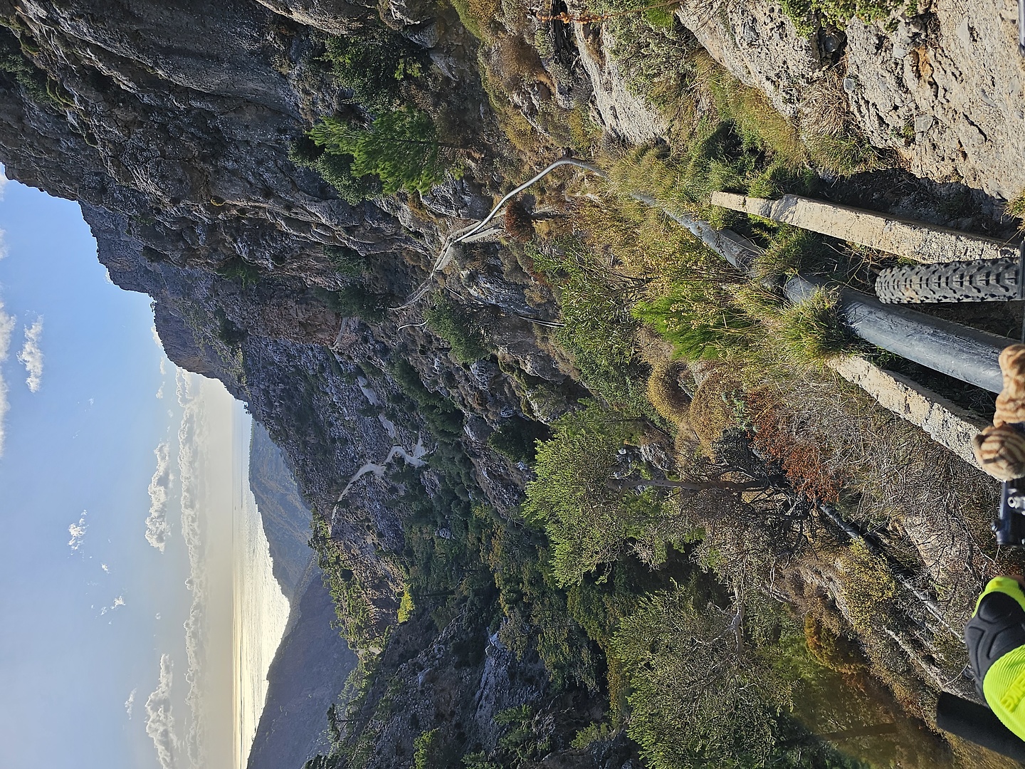 butterfly-trail2.jpg