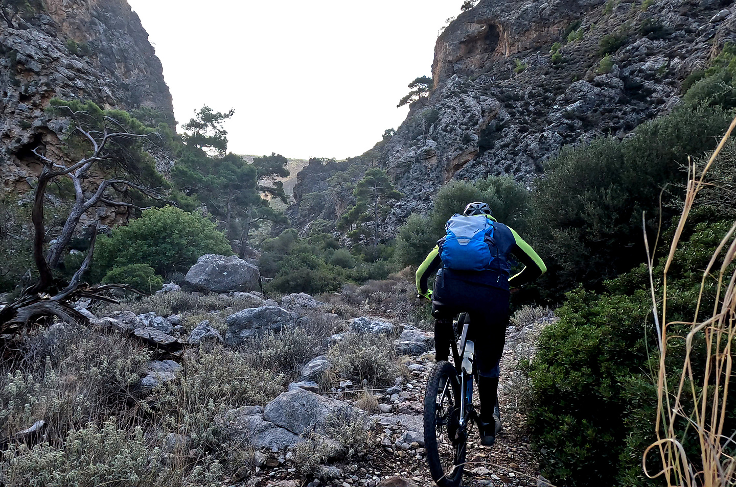 butterfly-trail7.jpg