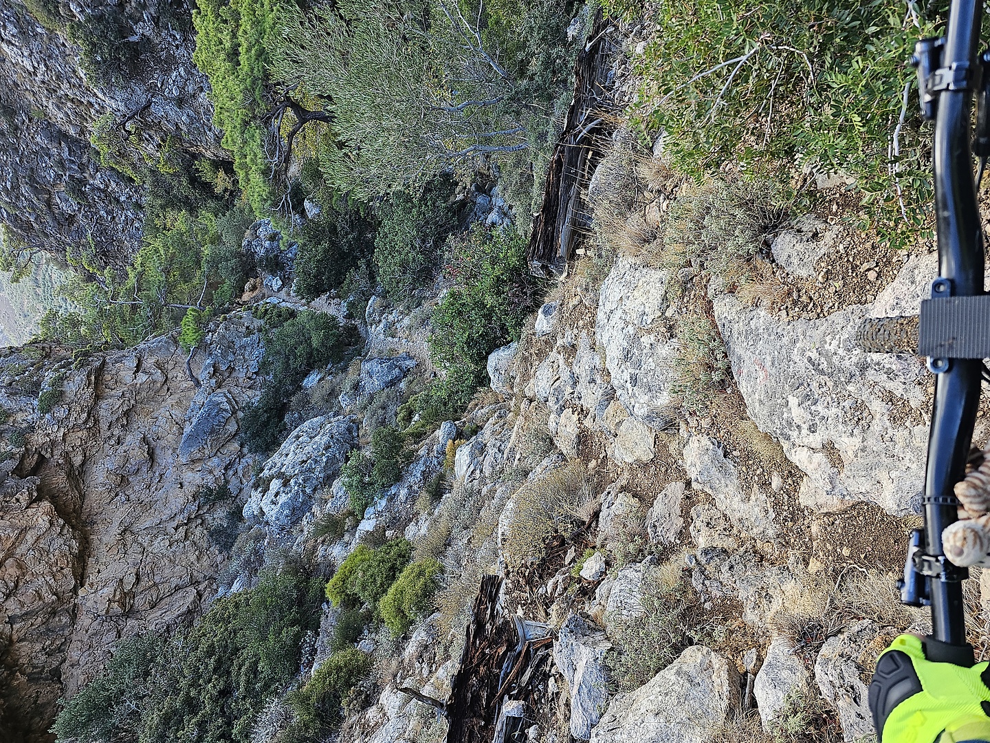 butterfly-trail8.jpg