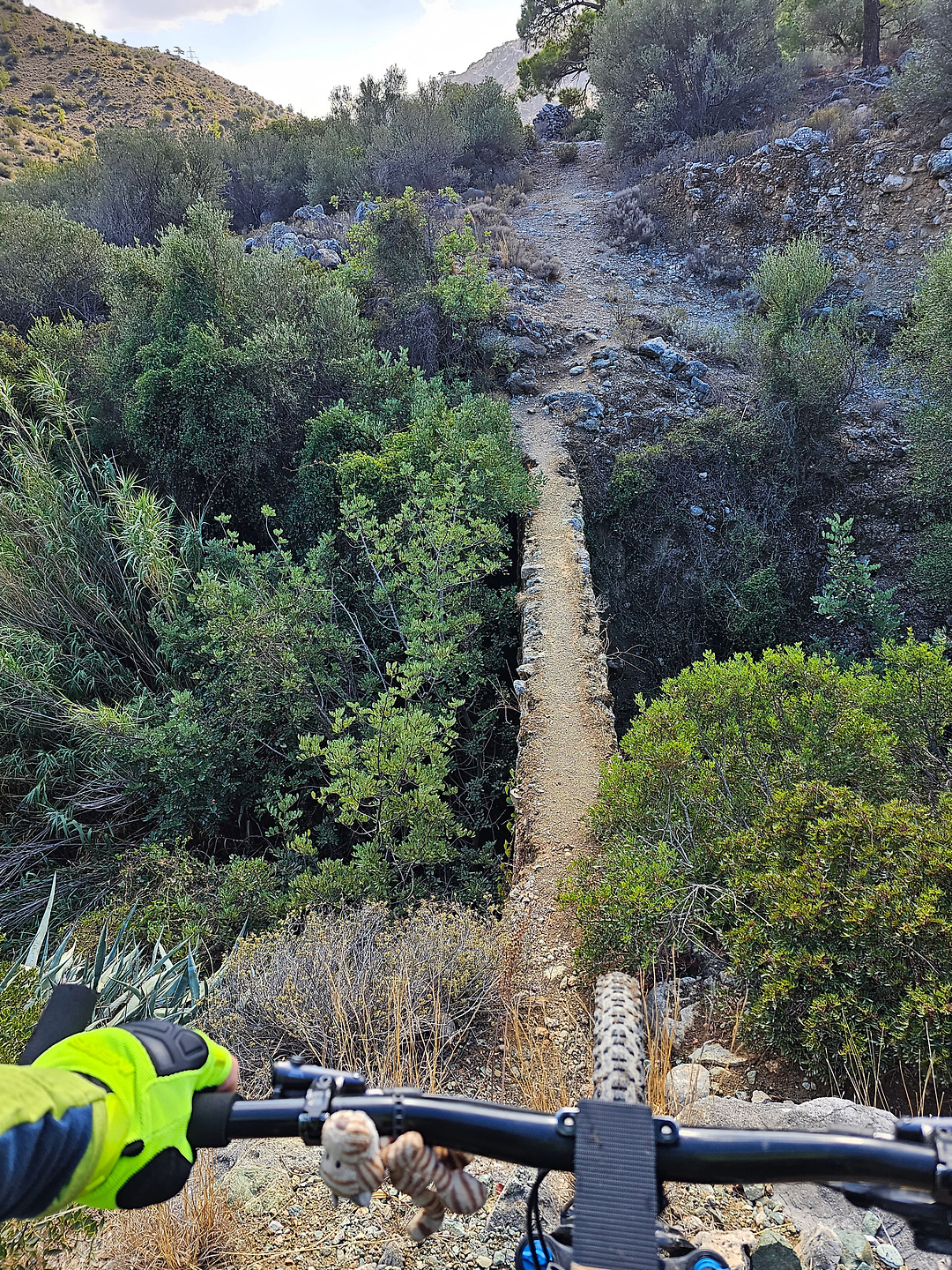 butterfly-trail9.jpg