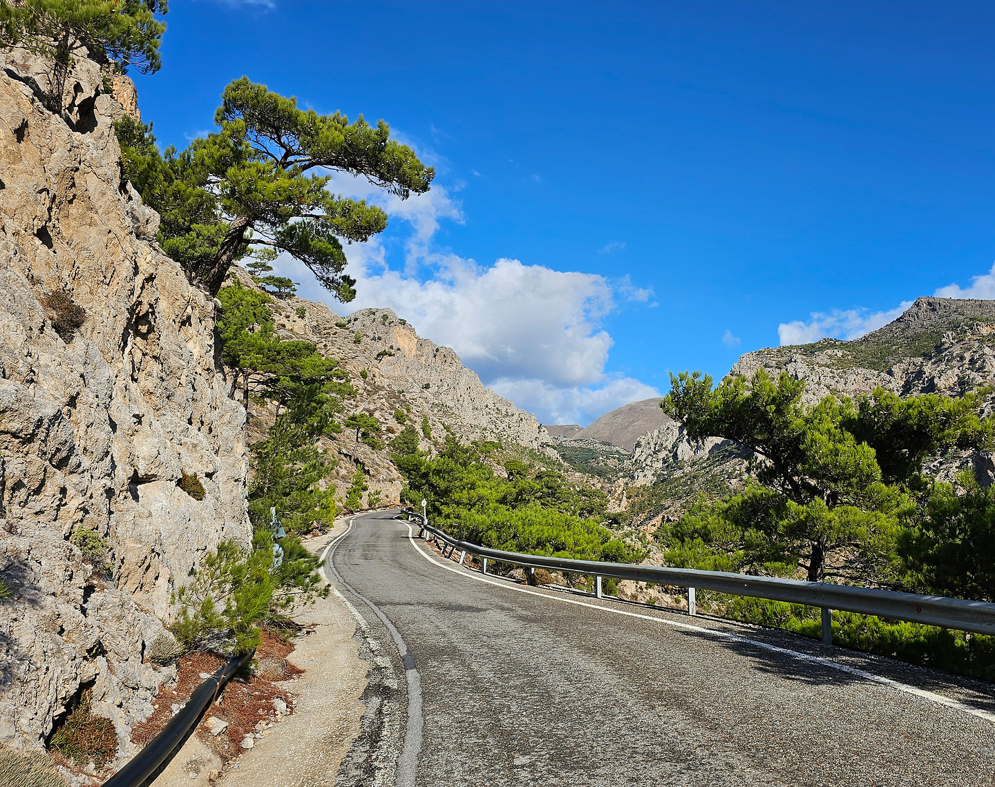 butterfly-uphill2.jpg