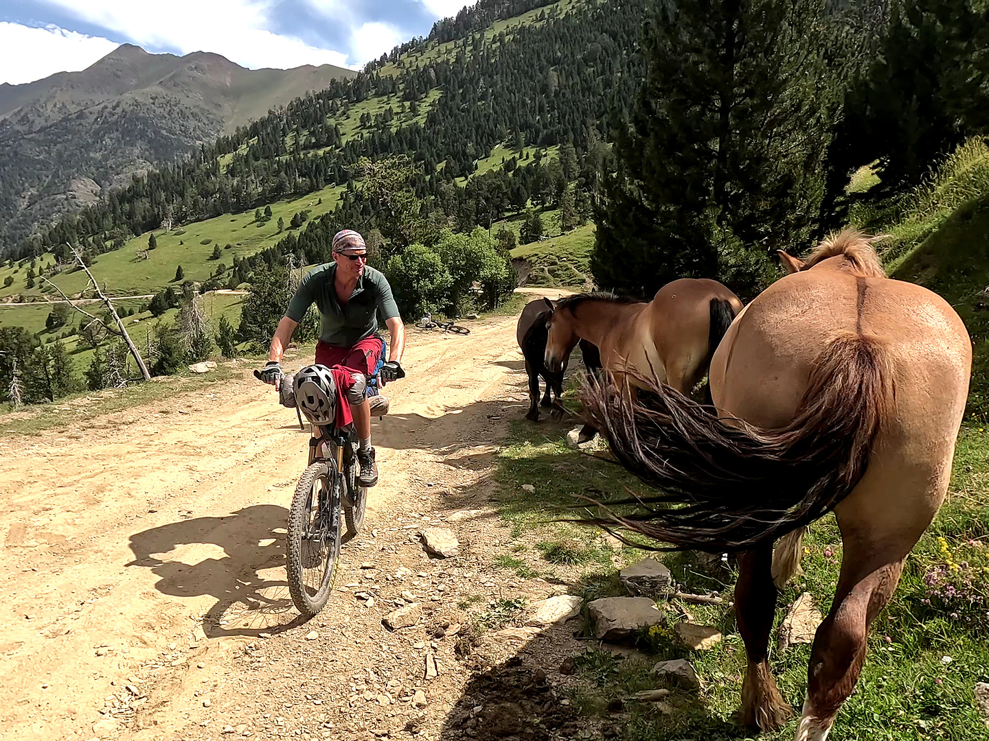 cabus-uphill12.jpg