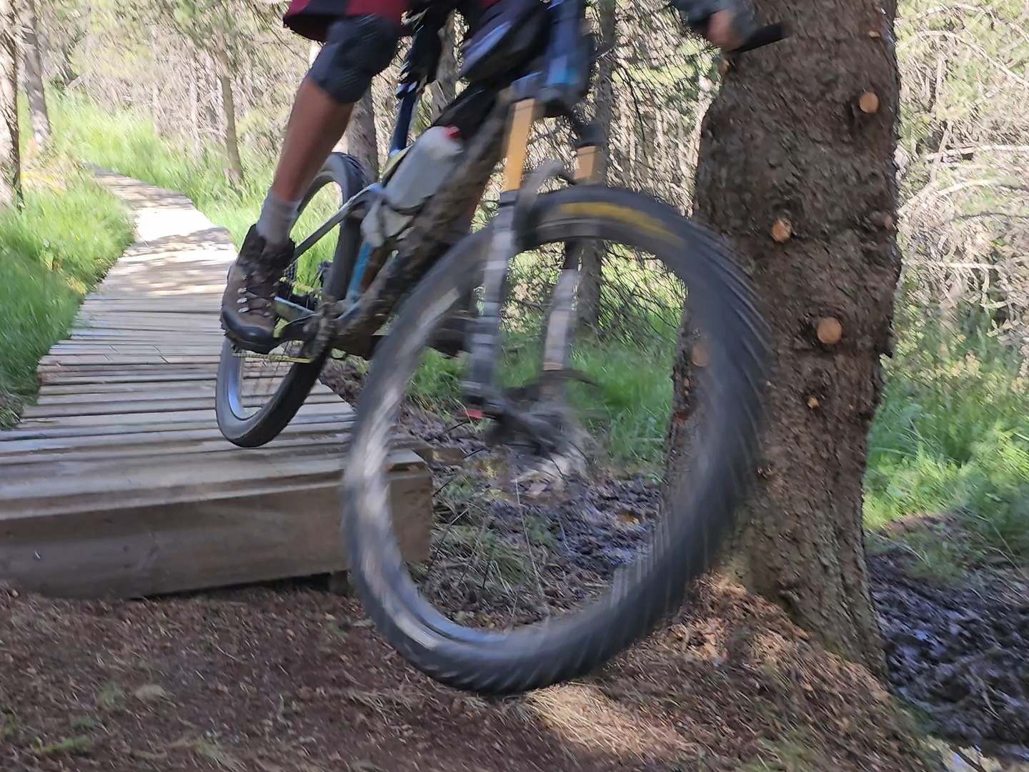 celer-bikepark5.jpg