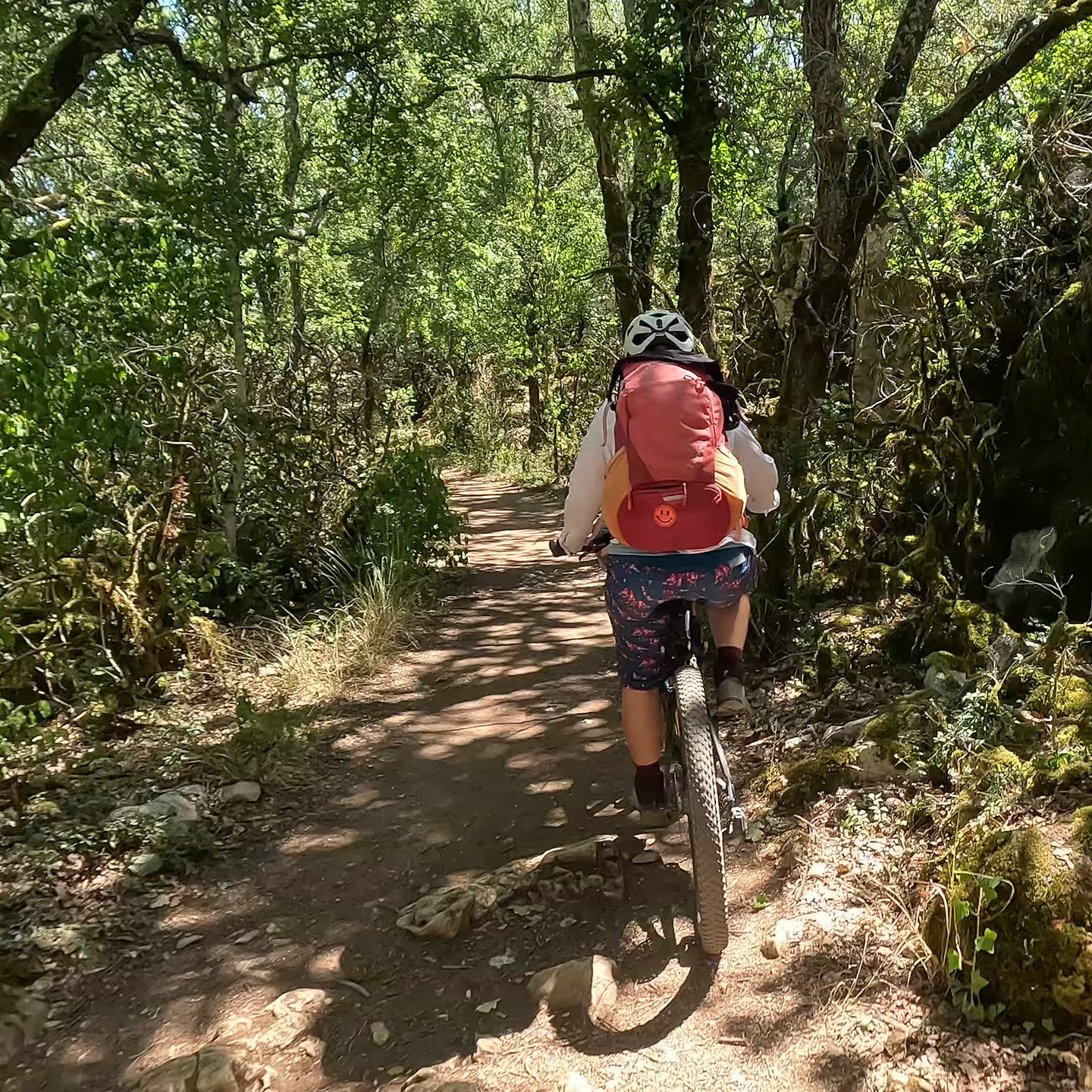 chassezac-trail2.jpg