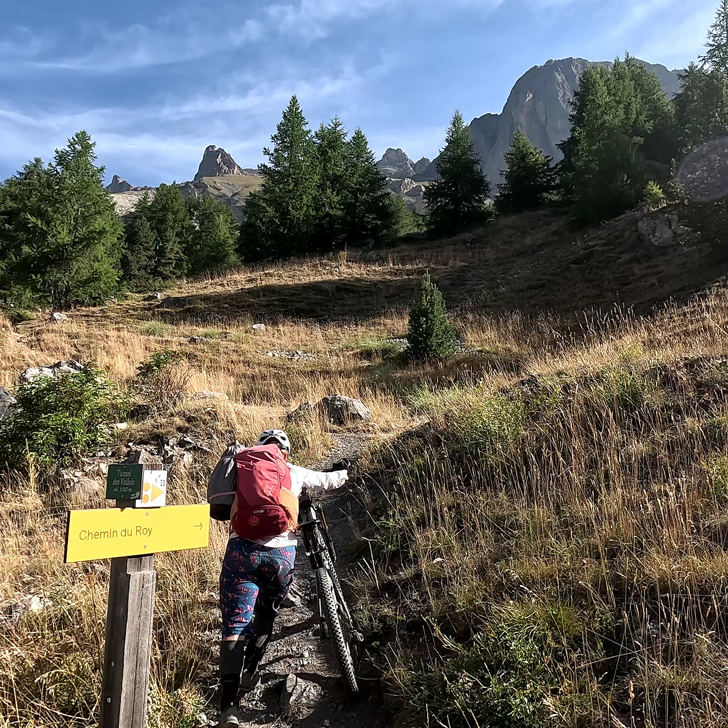 cheminroy-trail1.jpg