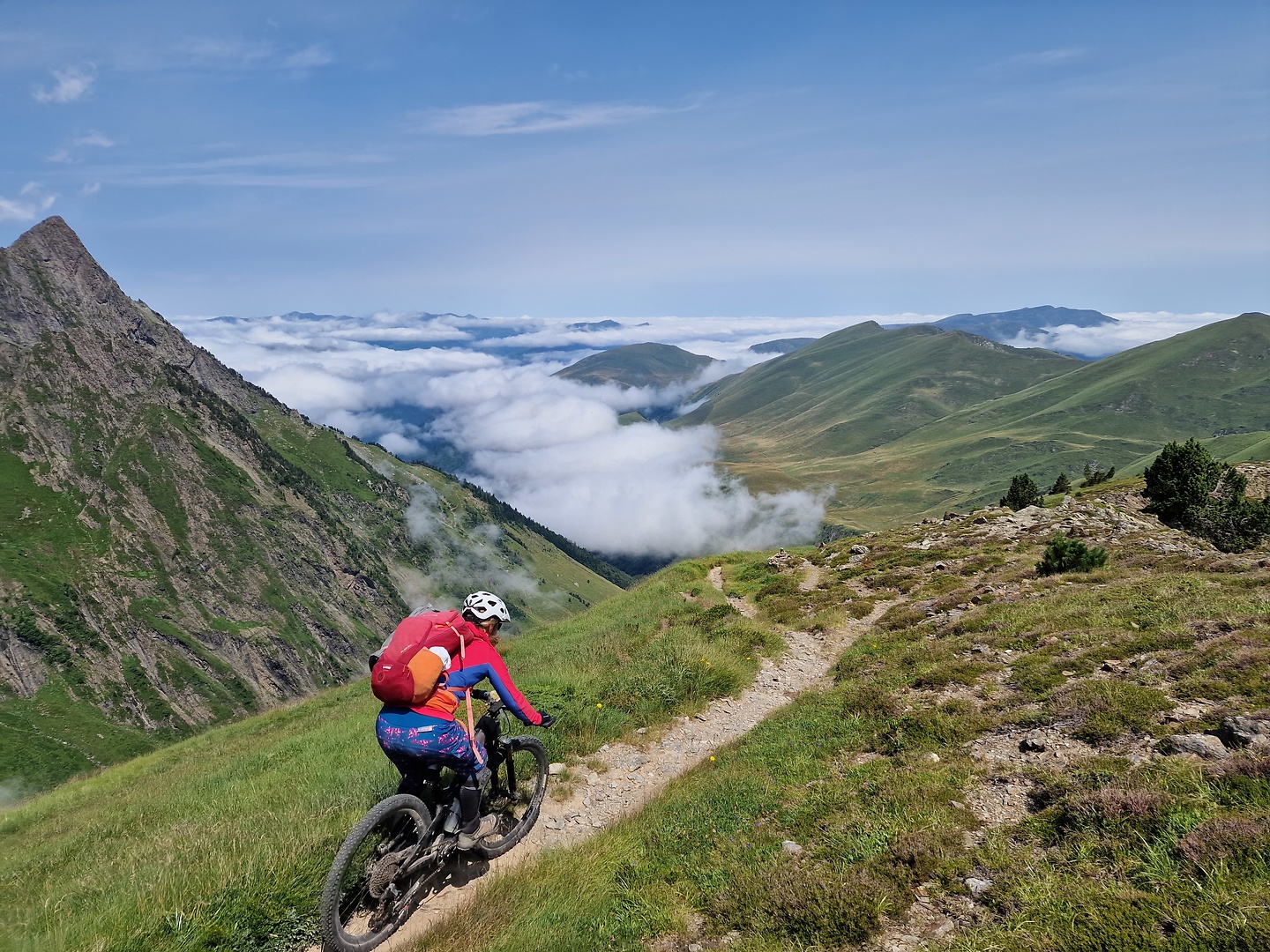 crabid-trail3.jpg