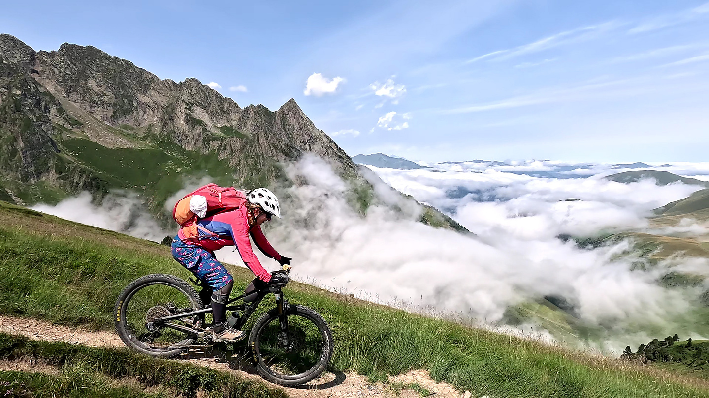 crabid-trail4.jpg