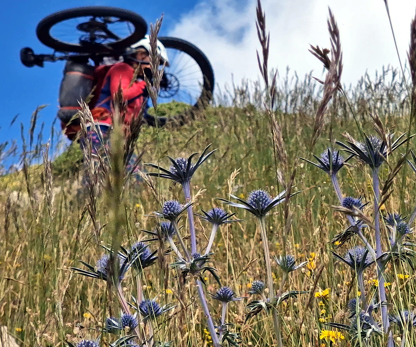 creueta-uphill3.jpg