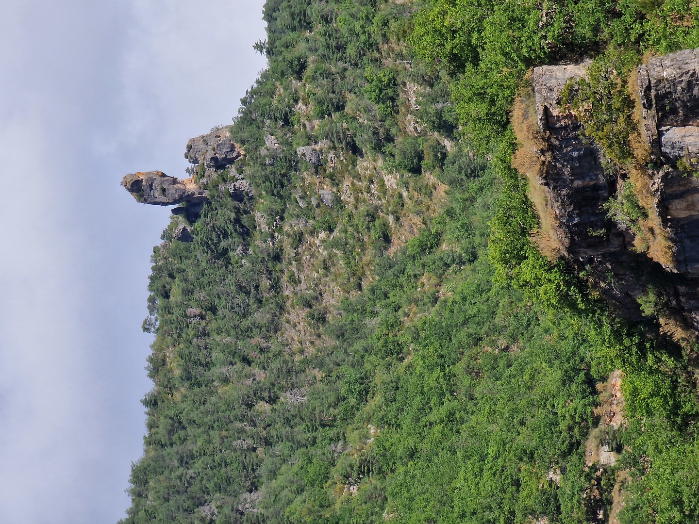 dourbie-road5.jpg