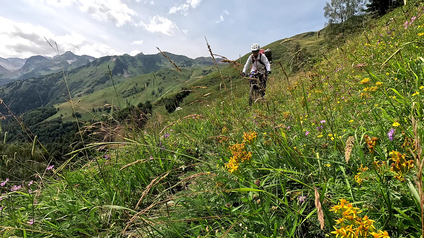 entecada-trail6.jpg