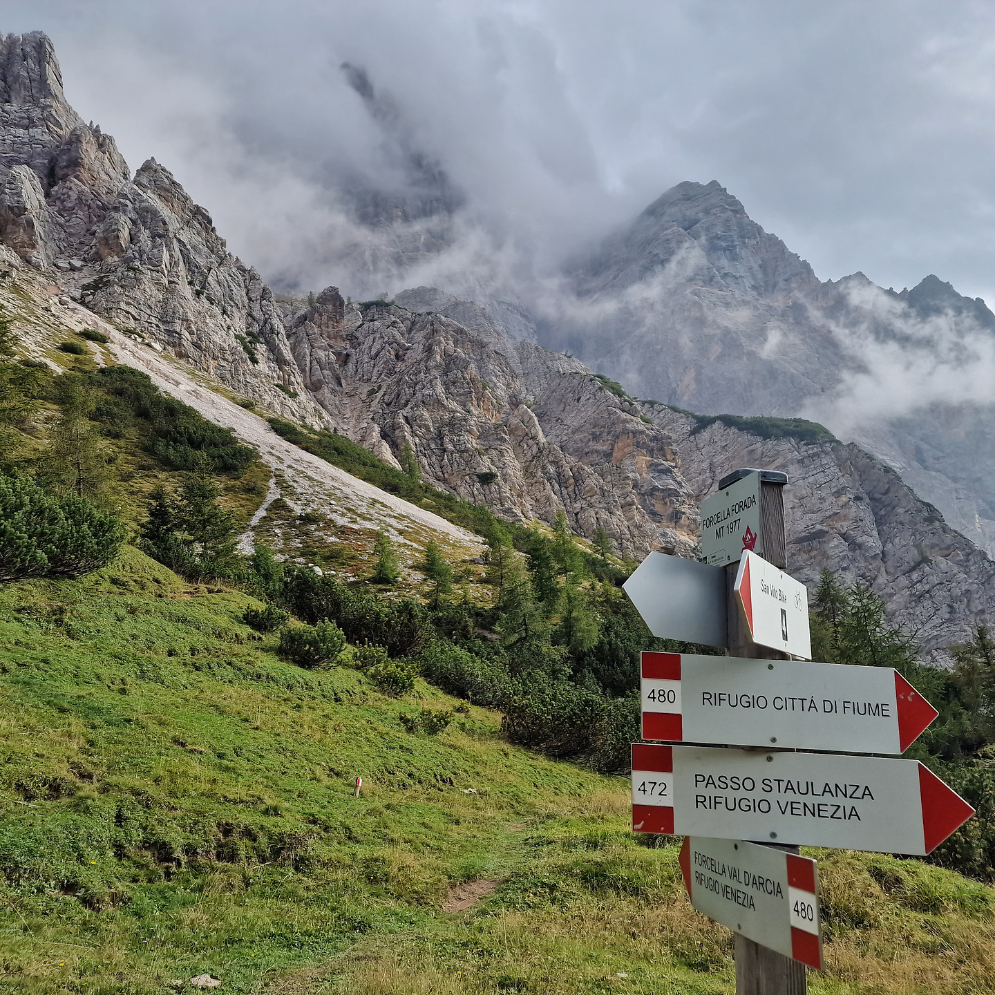forada-col1.jpg