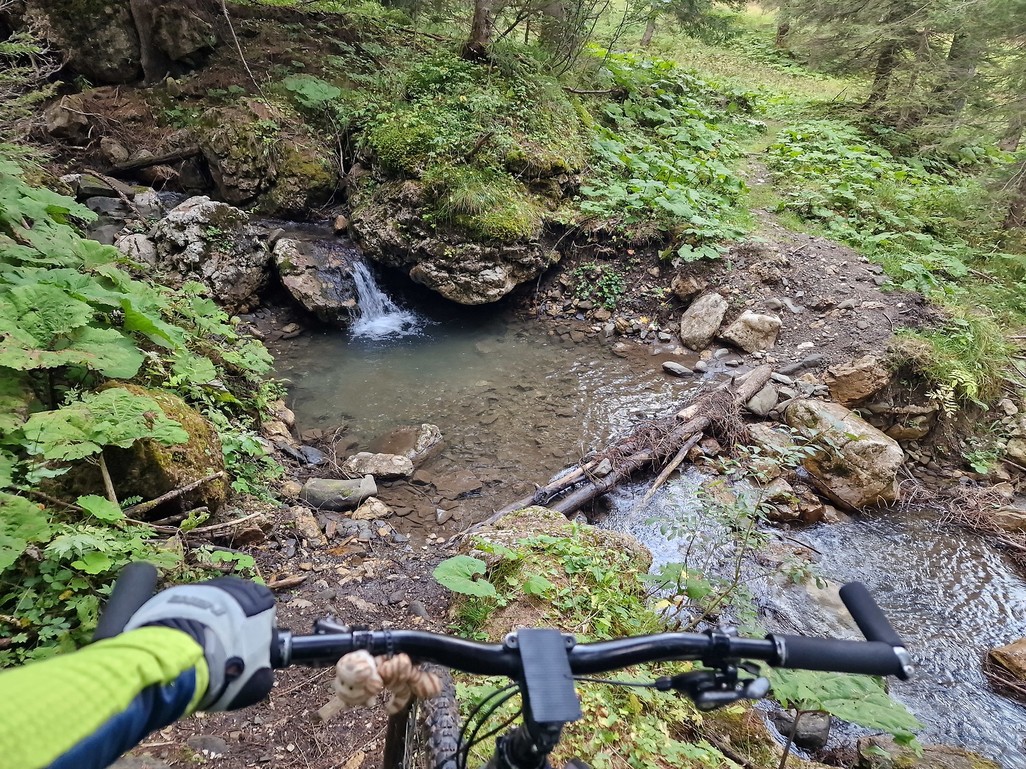 forada-trail6.jpg