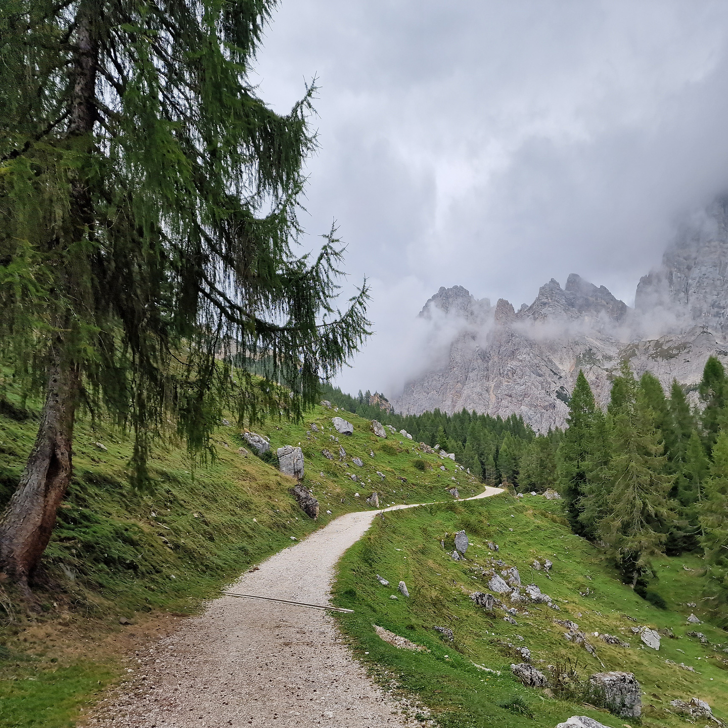 forada-uphill2.jpg