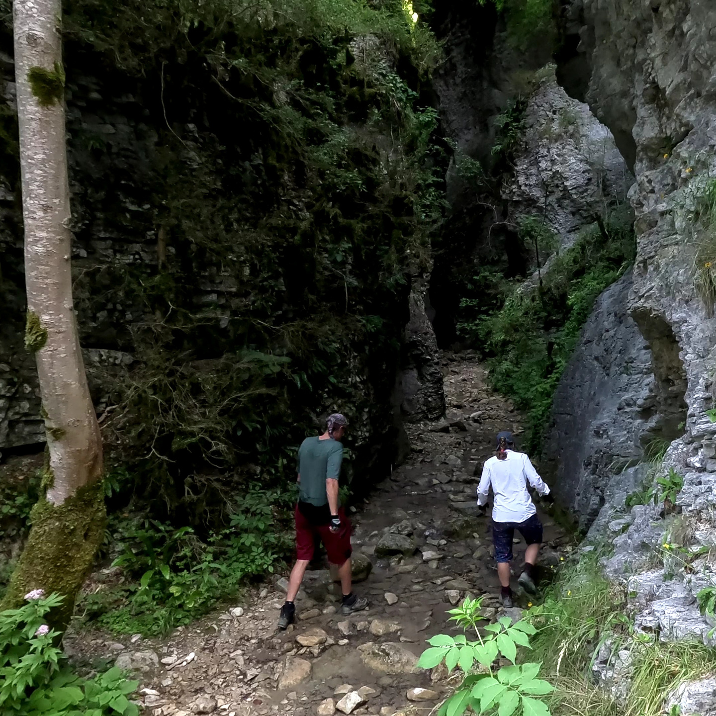 gats-canyon1.jpg