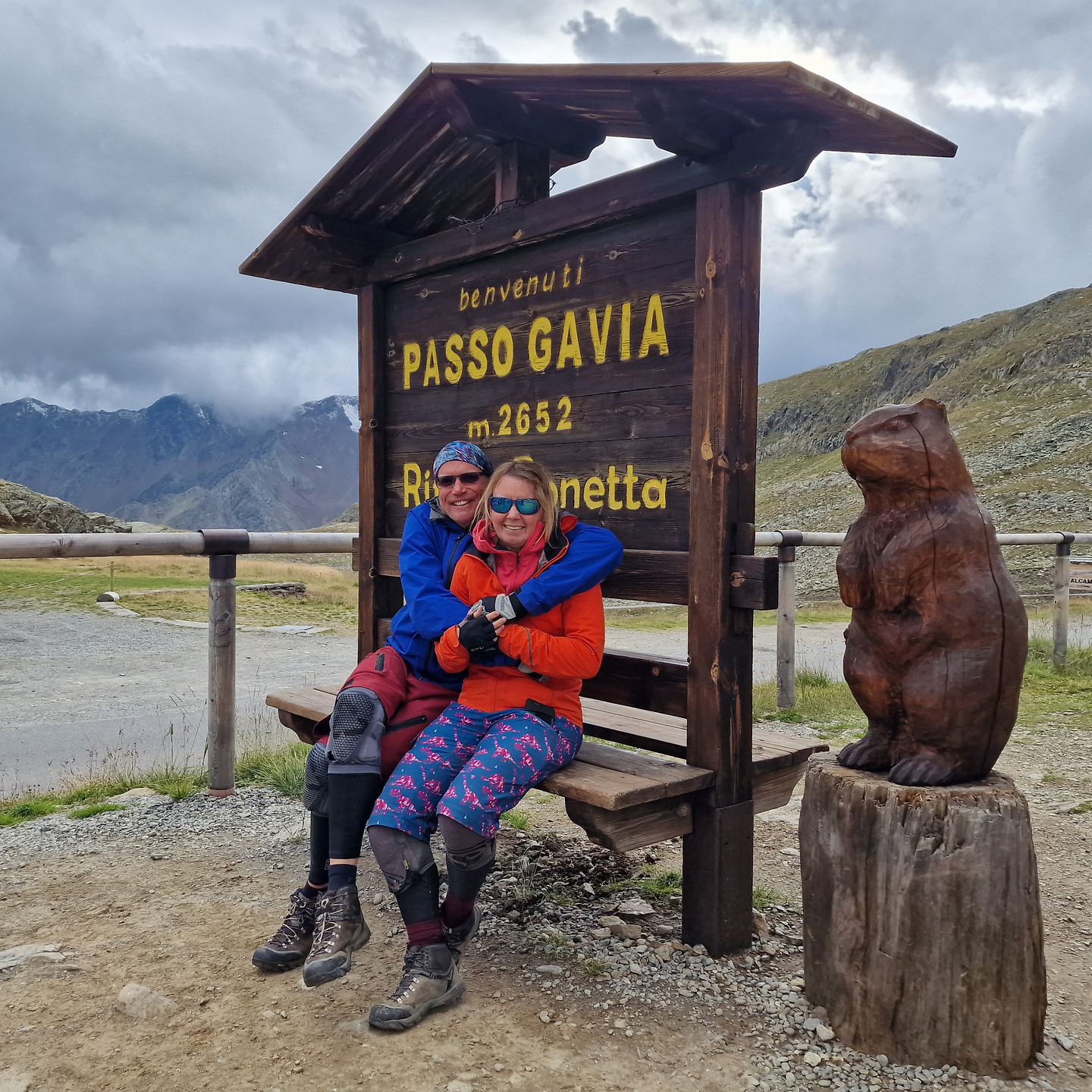 gavia-col4.jpg