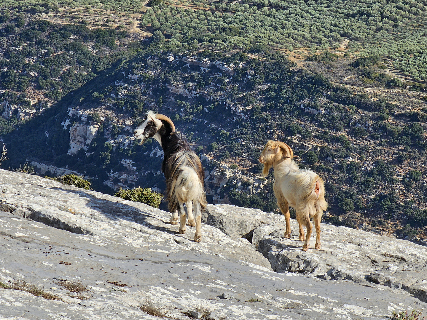 heraklion-trail3.jpg