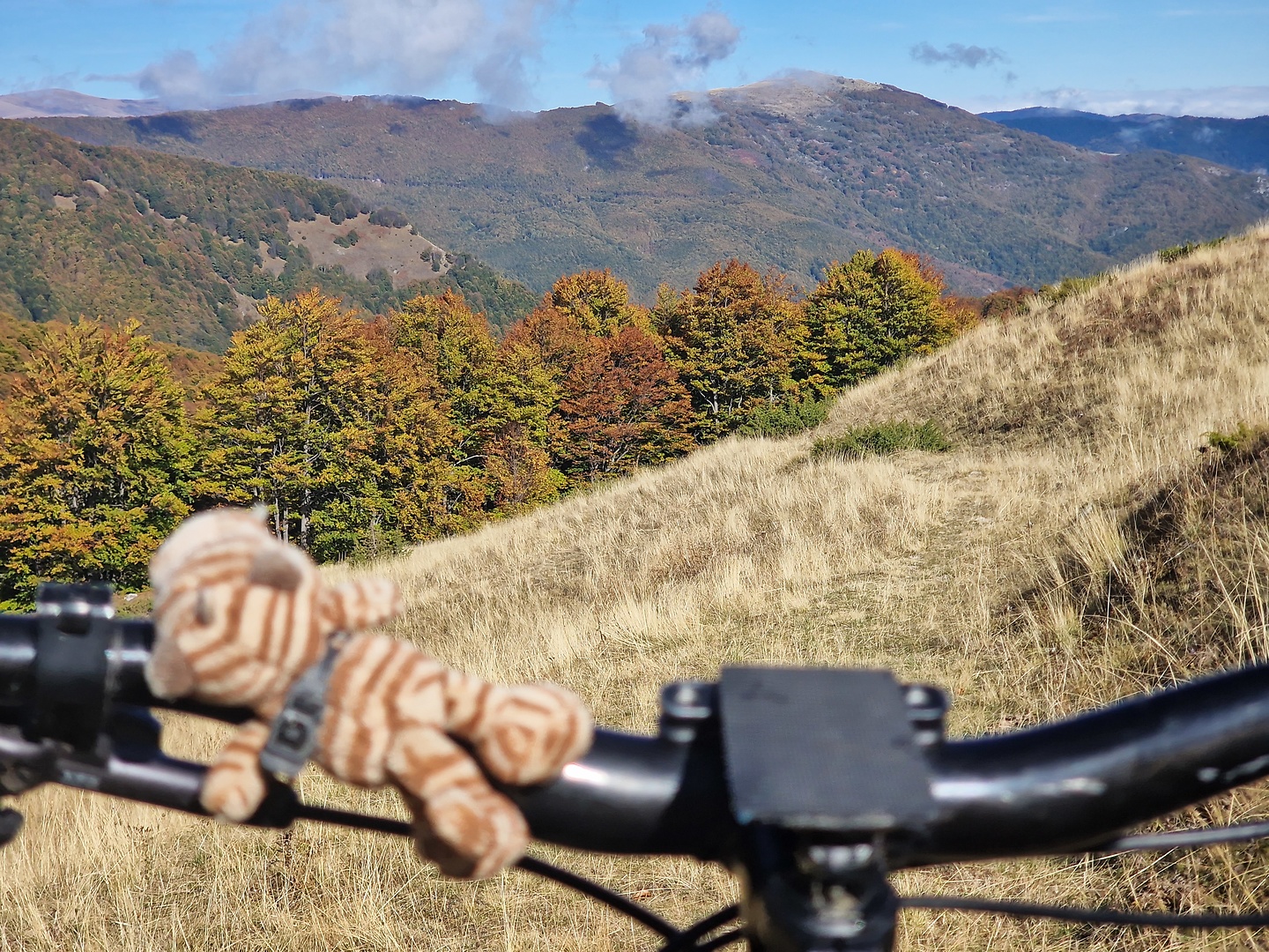 hinoske-trail5.jpg