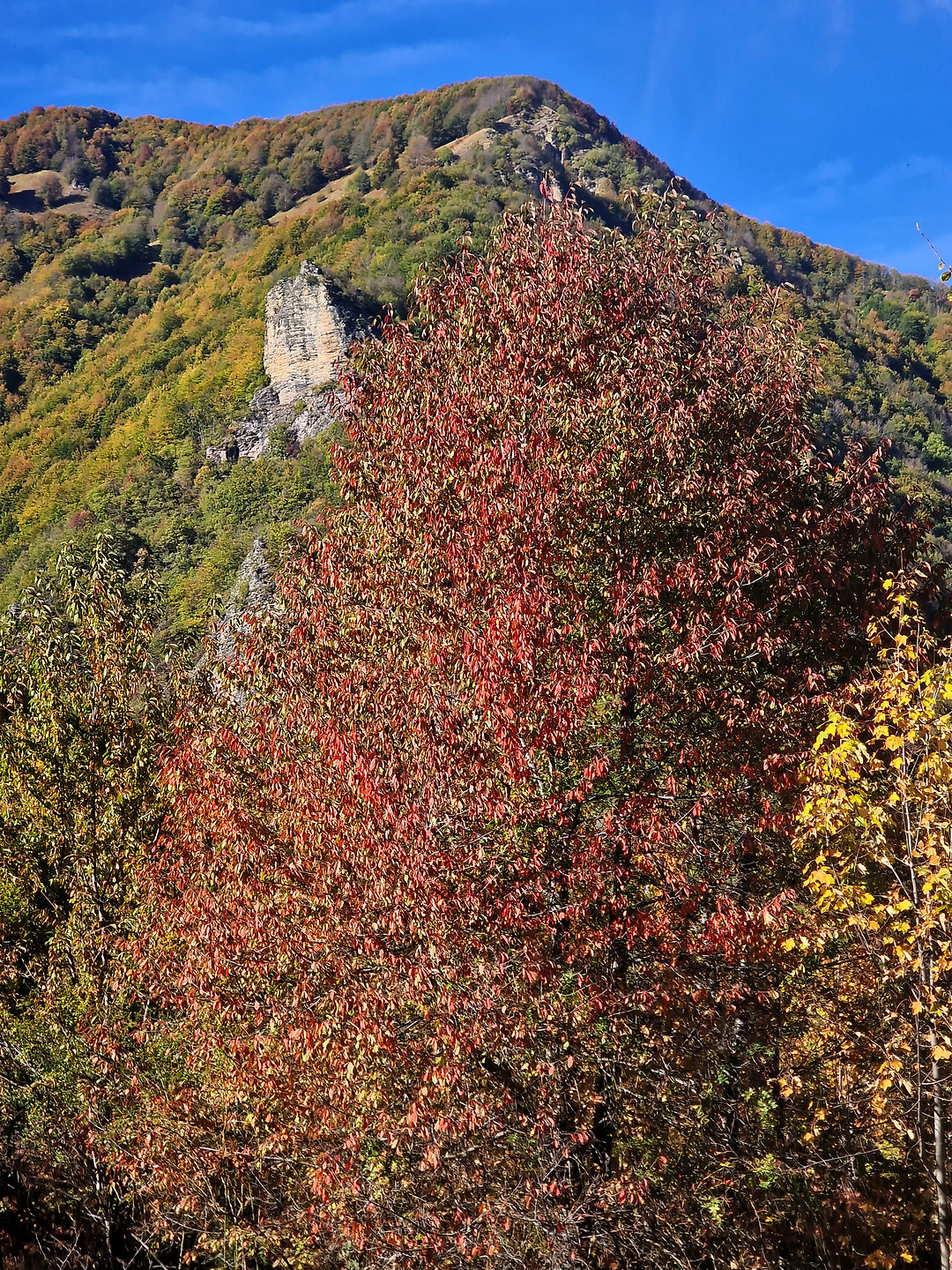 hinoske-trail6.jpg